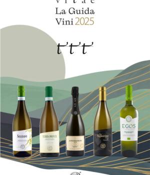 6 Flaschen preisgekrönte Weine Vitae 2025
