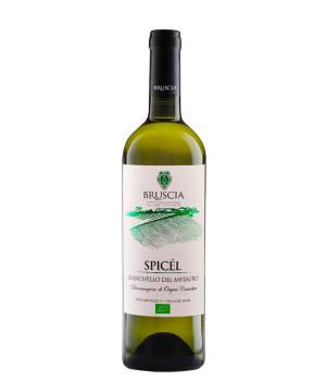 Spicel Bianchello del Metauro DOC cantina Bruscia - BIO