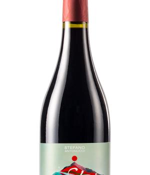 Ste Rosso Piceno Zero Alcohol drink neu vom Weingut Santa Barbara