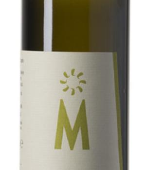 Leccino monucultivar EVO oil Montecappone from Marche