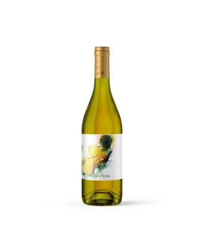 Franz Riserva Tenuta di Fra Verdicchio Castelli di Jesi DOCG Classico