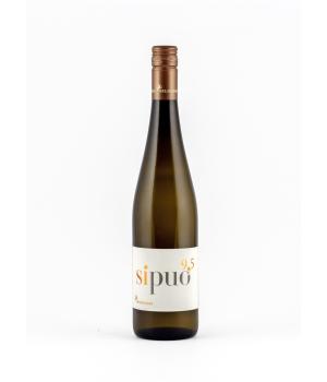 Si puo' 9,5 ein alkoholarmer Wein Weingut Belisario