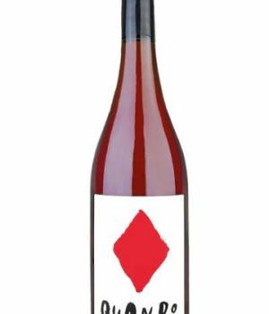 Quando Rosato Veneto IGT Progetto vino dentro