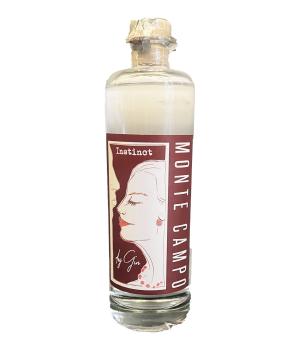 Instinct dry gin bottiglia vetro Monte campo