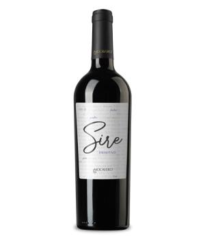 Sjre Primitivo del Salento IGP cantina Mocavero