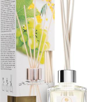THD diffusore uva bianca e mimosa botanic collection