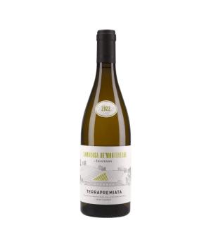 Lamorosa de Monteverde Sauvignon Marche IGT TerraPremiata
