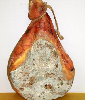 Prosciutto con osso Monterotti 18/20 mesi stagionato