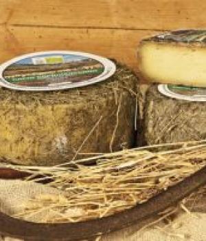 Pecorino al fieno stagionato Scolastici Roberto - BIO