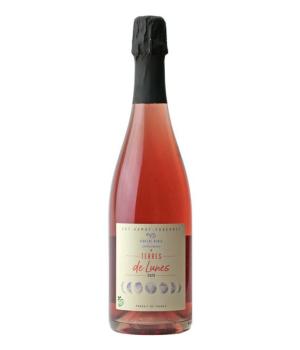 Vincent Denis  Rose Terres de Lunes