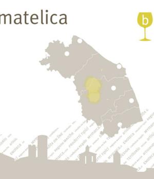 VERDICCHIO di MATELICA 6 Flaschen Weißwein aus einheimischer Rebsorte