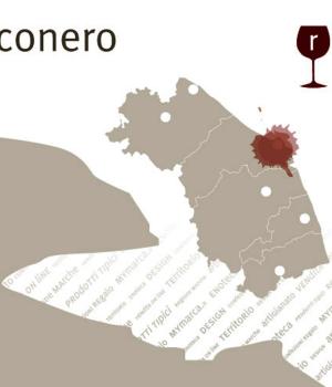 Selection of 6 bottles of Conero red wines