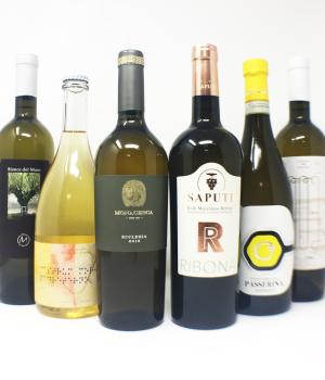 i BIANCHI di..MARCA entdecken Sie 6 ausgezeichnete Weißweine aus aufstrebenden