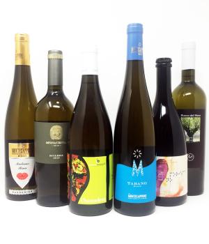 IGT MARCHE BIANCO Auswahl für die Verkostung von 6 Flaschen Qualitäts Weißweine