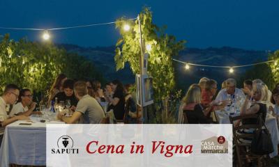 DINNER in vinery - Cantina MONTECAPPONE - 27 july h 20