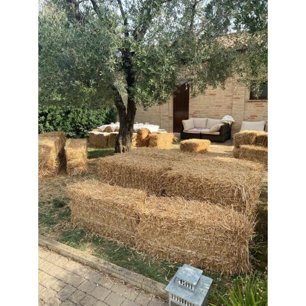 CENA DE LO VATTE La Colombaia Country House Appignano vini Casalfarneto