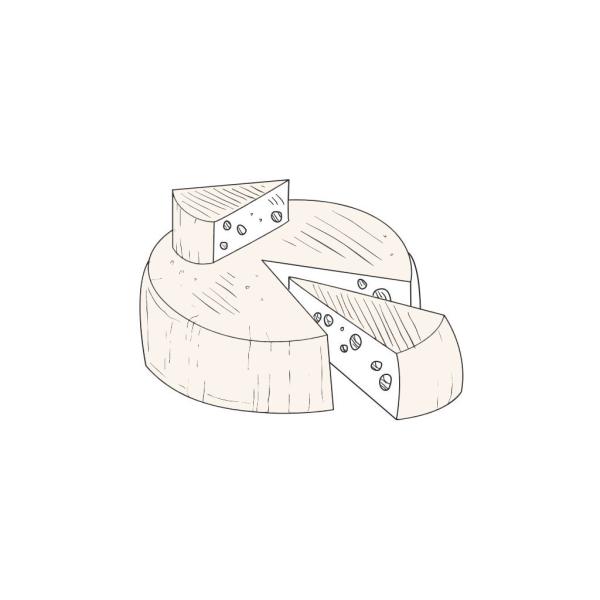 Halbgereifter PECORINO typischer Käse aus der Region Marken