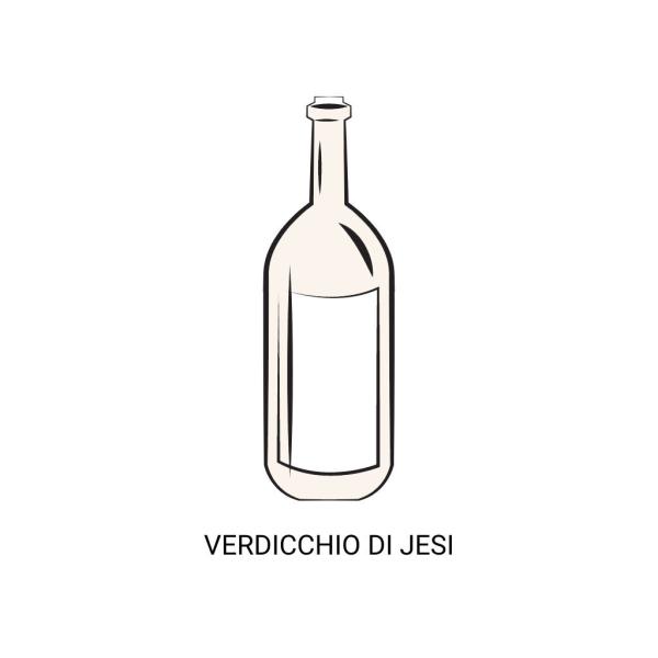 VERDICCHIO di JESI aus einheimischen Trauben, der meistprämierte Weißwein