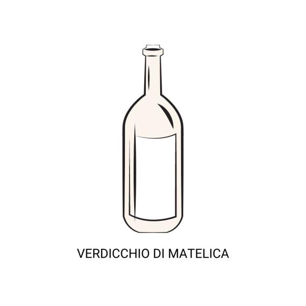 VERDICCHIO di MATELICA Weißwein aus einheimischer Rebsorte