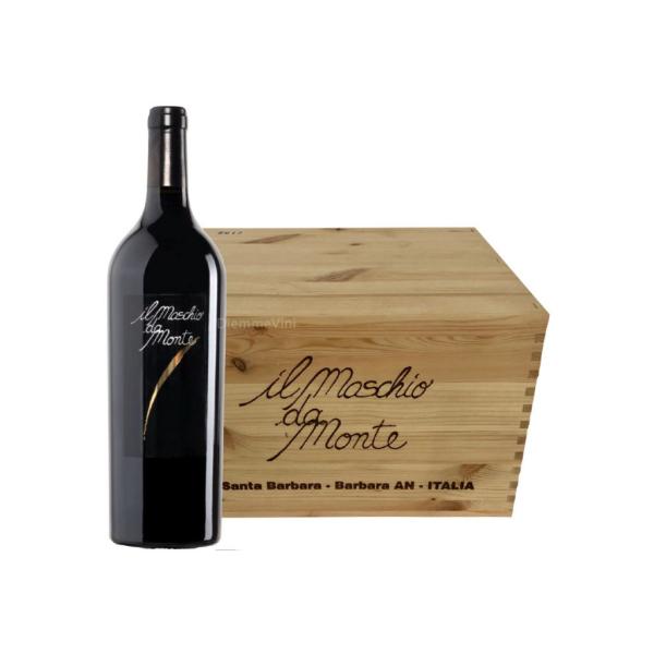 il MASCHIO del MONTE Santa Barbara Piceno DOC still red wine