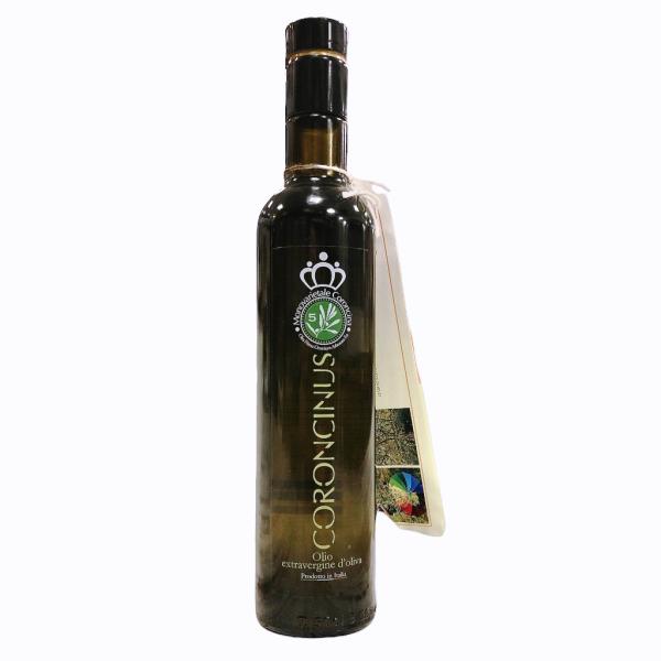 Coroncina cultivar italienischen extra nativen Olivenöl