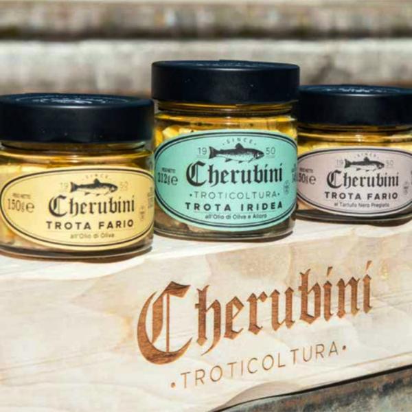 The italian Brown trout and Rainbow trout in olive oil by Cherubini