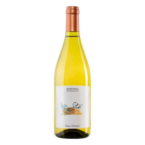 STE ' Verdicchio Castelli di Jesi DOC dry white wine Santa Barbara