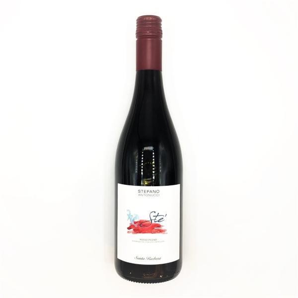 STE' Rosso Piceno DOC vino linea classica cantina Santa Barbara