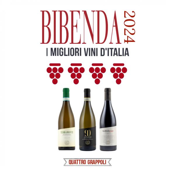 6 bottles of award-winning wines 4 Grappoli Bibenda 2024 Matelica 1932 producers.