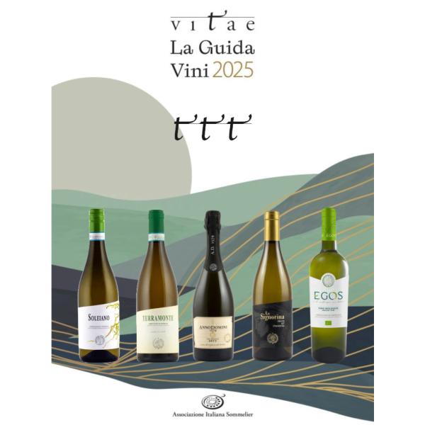 6 vini premiati Vitae 2025 guida AIS cantina Produttori di Matelica 1932