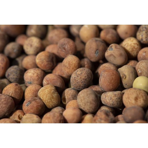 Roveja legume secco Carlo Medei