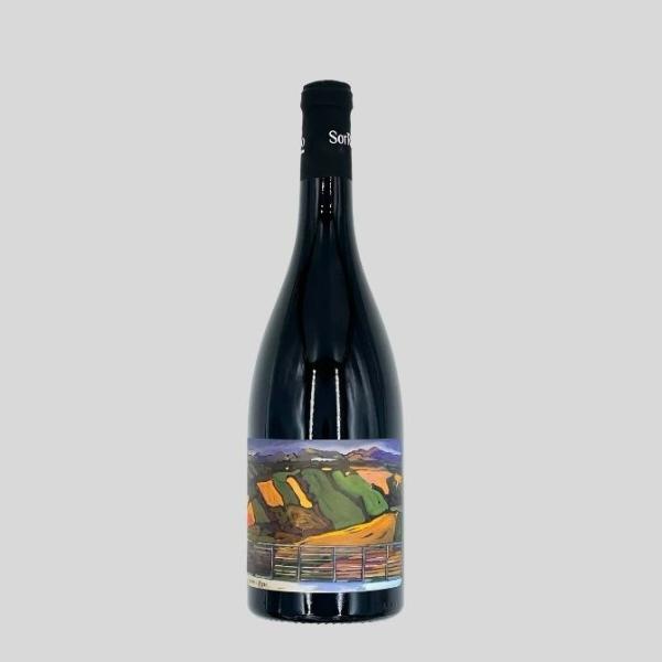 Filari tra due fiumi Marche Rosso IGT  cantina Sor Rico
