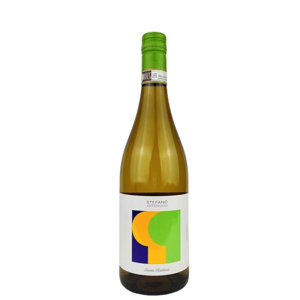 Stefano Antonucci Pecorino DOCG cantina Santa Barbara - BIO