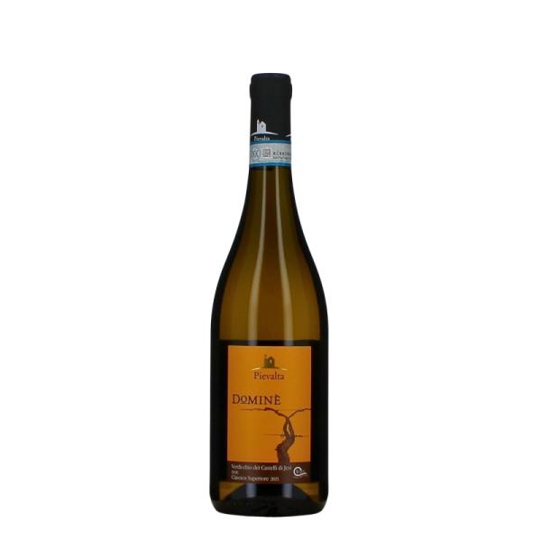 Domine Pievalta Verdicchio di Jesi DOC - BIO