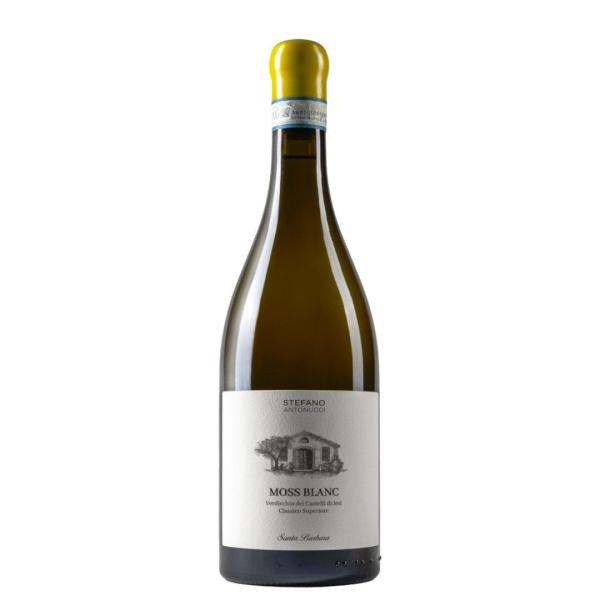 Moss Blanc Santa Barbara Verdicchio Castelli di Jesi DOC Classico Superiore