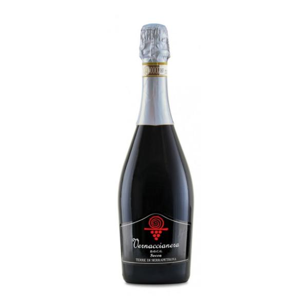 Vernaccianera spumante rosso secco Serrapetrona DOCG cantina Terre di Serrapetrona