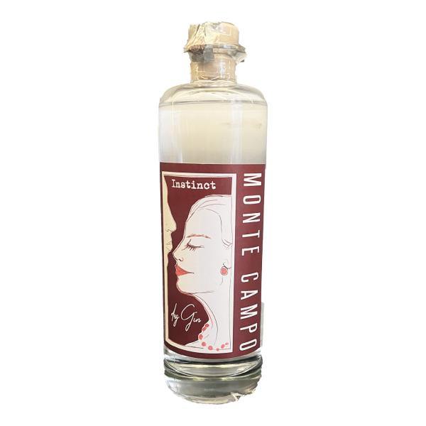 Instinct dry gin bottiglia vetro Monte campo