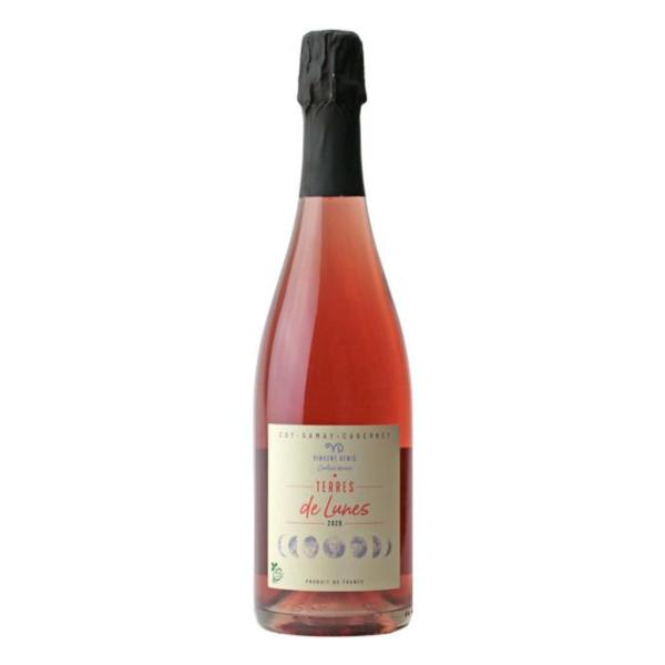 Vincent Denis  Rose Terres de Lunes