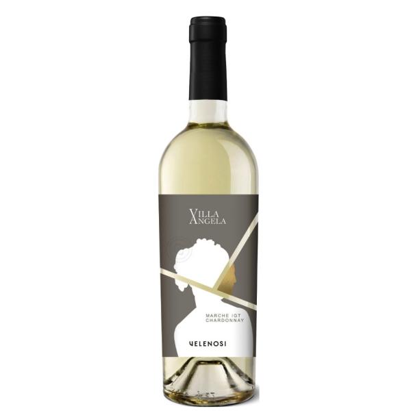 VILLA ANGELA Chardonnay Velenosi Marche IGT vino bianco