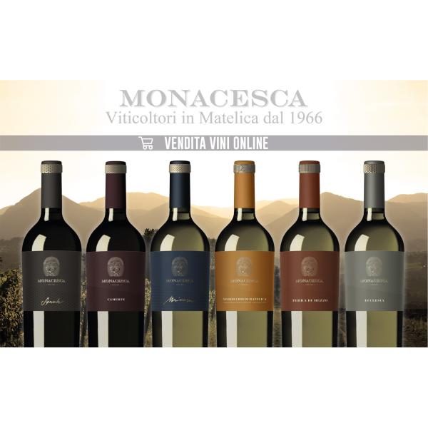 la MONACESCA selezione 6 vini di alta qualità della cantina marchigiana