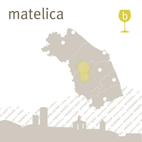 il VERDICCHIO di MATELICA 6 bottiglie Vino bianco da vitigno autoctono