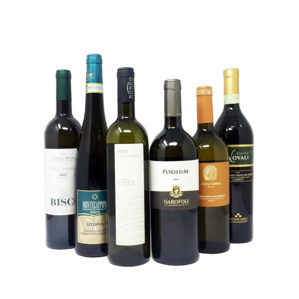 VERDICCHI delle MARCHE 6 white wines, excellent quality / price ratio
