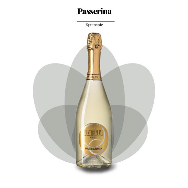 SPARKLING Passerina Martinotti method Montecappone winery